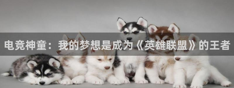 im电竞入口APP版：电竞神童：我的梦想是成为《英雄联盟》的王者